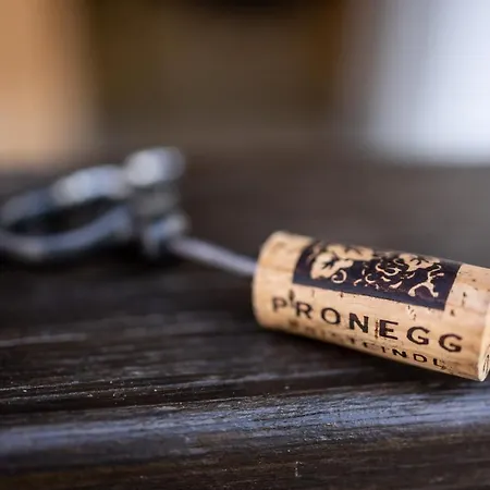 Winzerzimmer Pronegg Vlg. Kristeindl 3* ליוצכאך