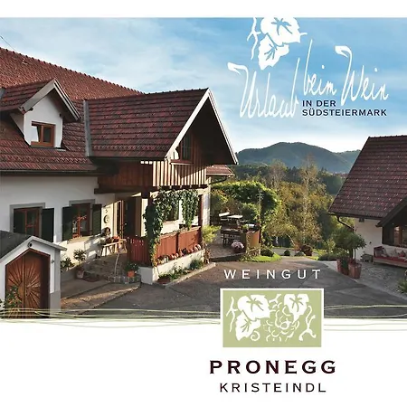 Πανσιόν Winzerzimmer Pronegg Vlg. Kristeindl *