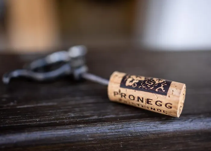 Winzerzimmer Pronegg Vlg. Kristeindl 3* Leutschach